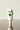 Standard Procedure Aloe Vera with Clip 60ml