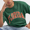 NCAA Florida Wordmark Arch Tee